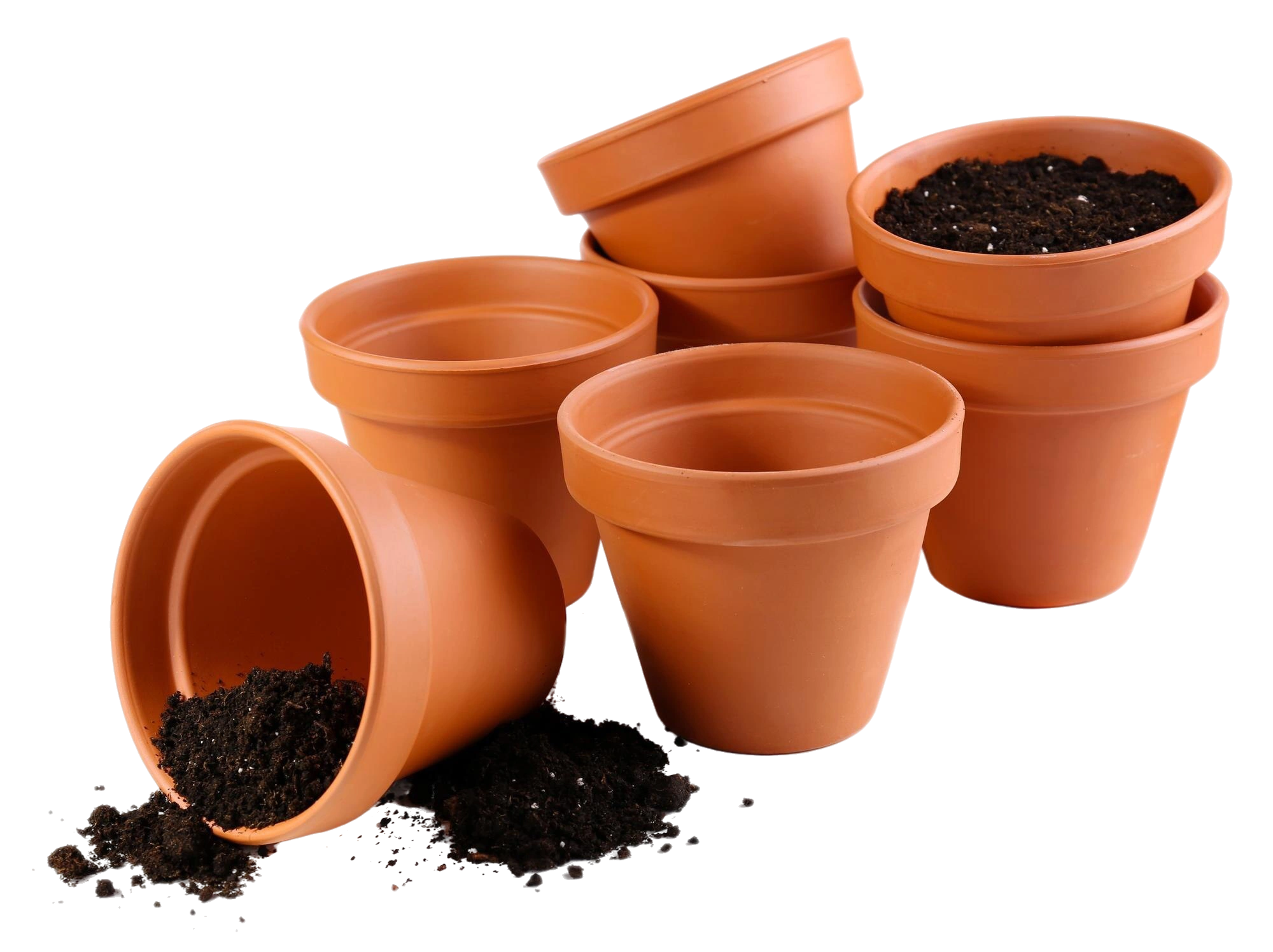 Pot